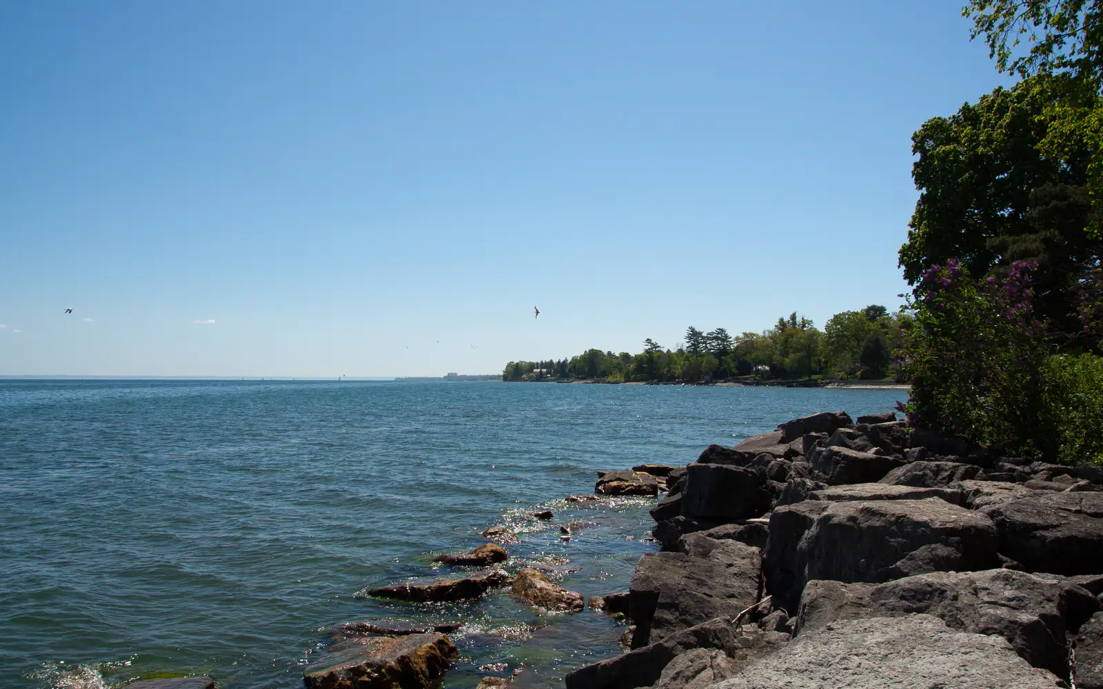 Lake Ontario shoreline at Gairloch Gardens in Eastlake, Oakville