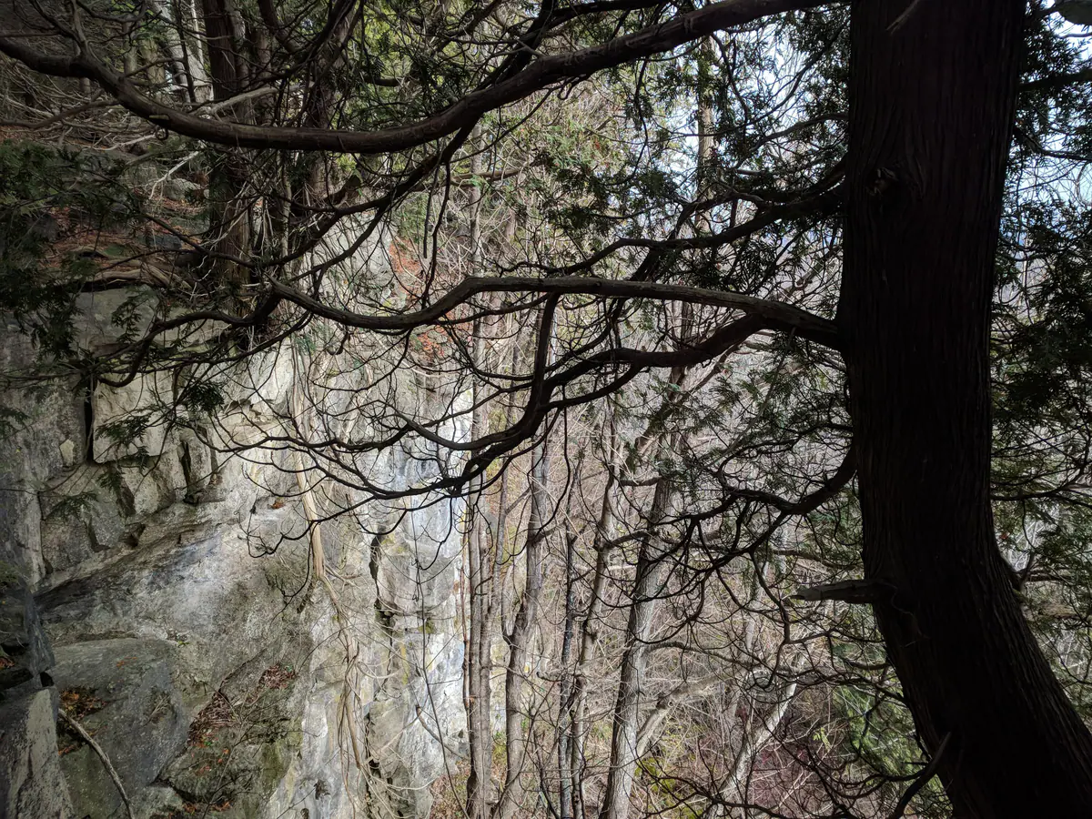 Escarpment rock and cedars on the Bruce Trail near Harrison, Milton