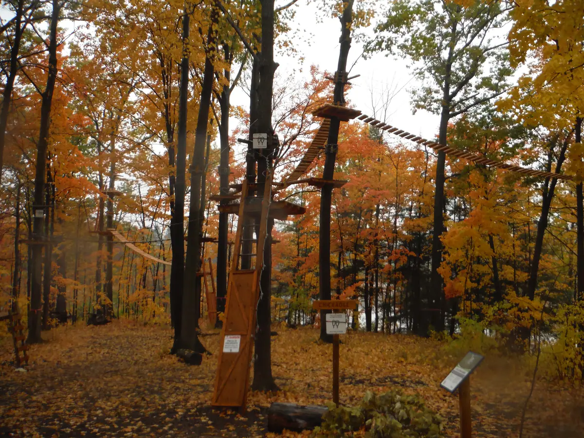 Autumn forest at the Heart Lake treetop trekking course in Brampton
