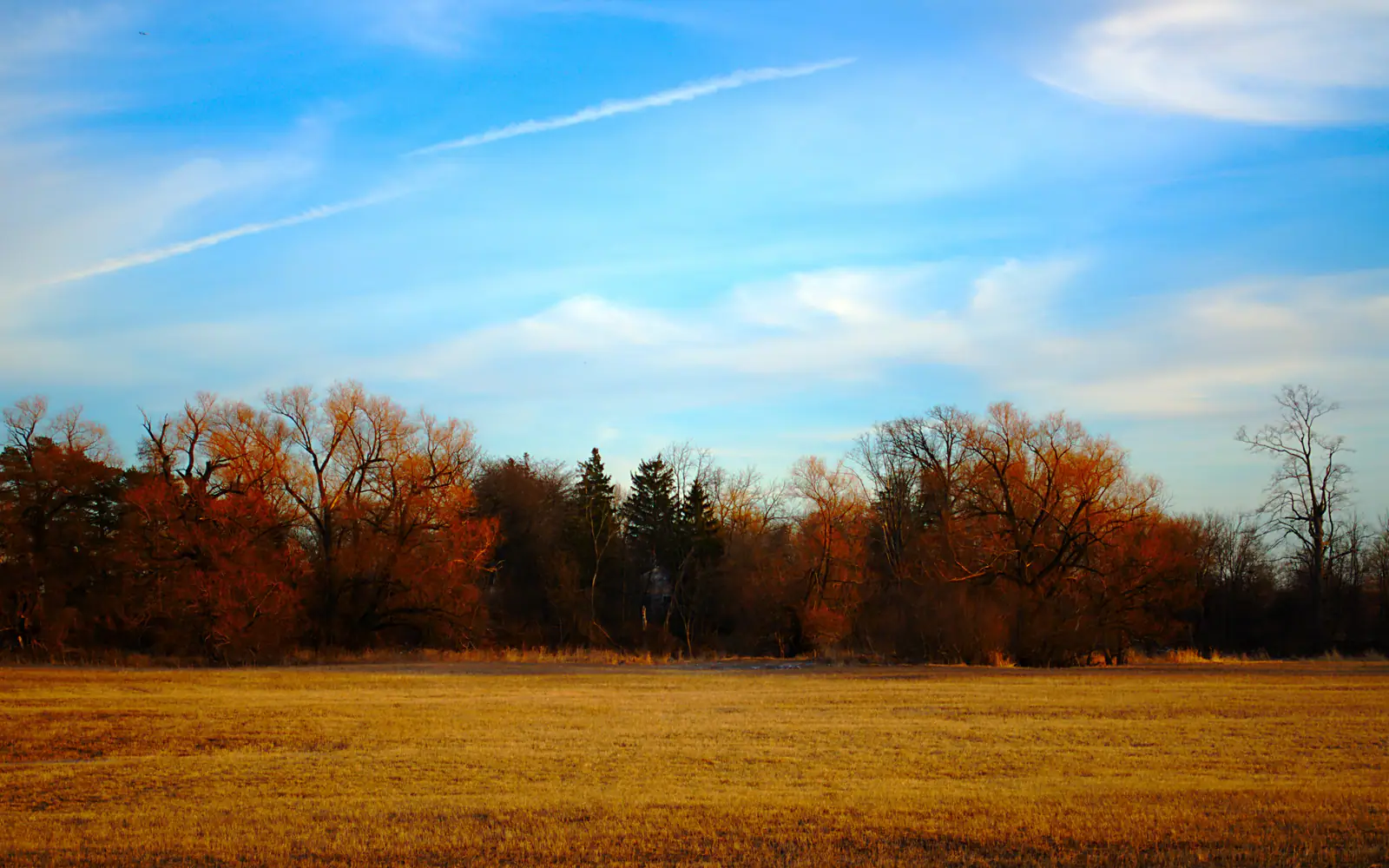 Autumn colours under a blue sky in Meadowvale Village, Mississauga