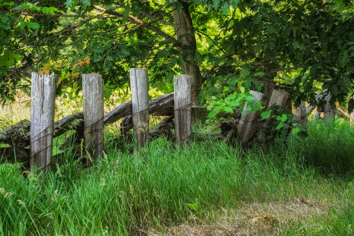 Wooden fence line at Bronte Creek Provincial Park in Burlington