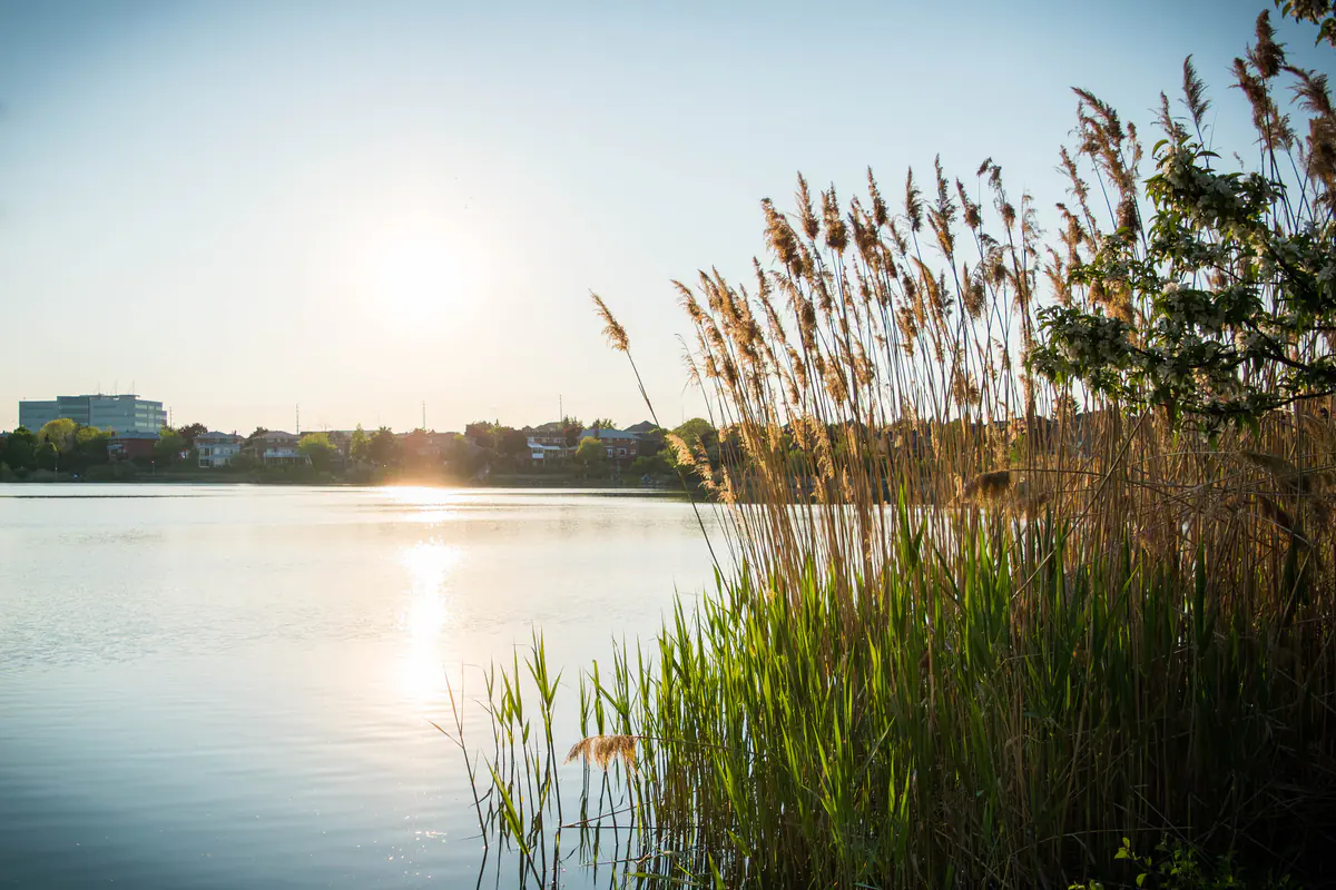 Sunset over Professor's Lake in Brampton