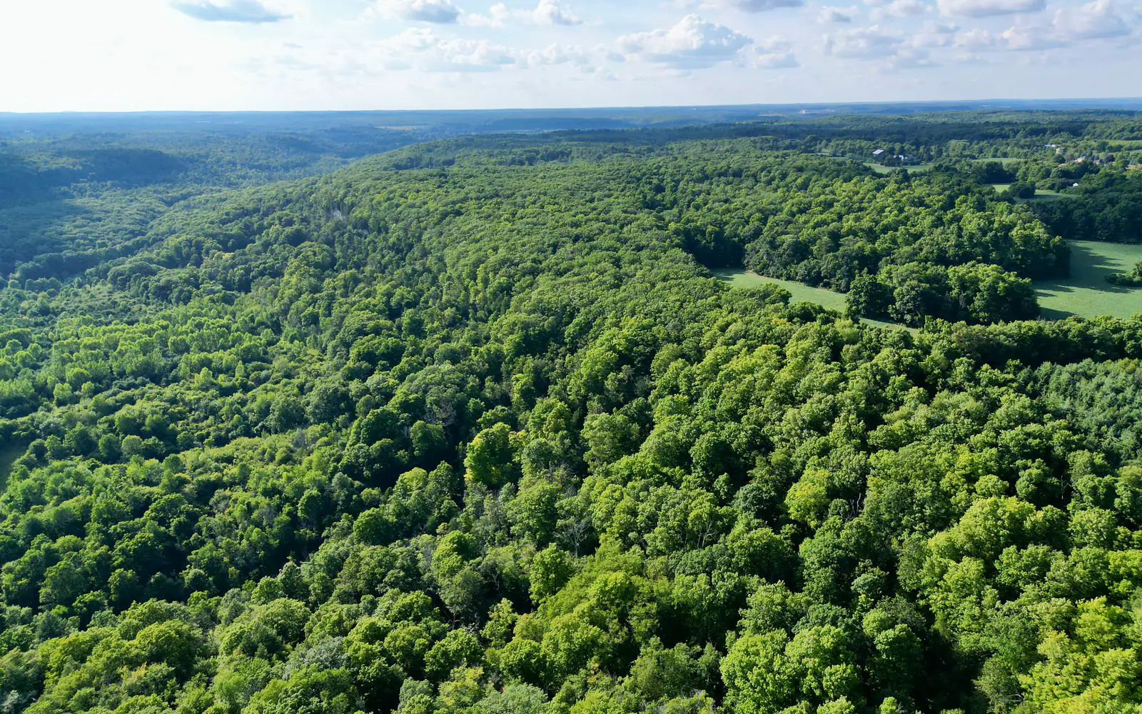 The Niagara Escarpment above Rattlesnake Point, west of Scott, Milton