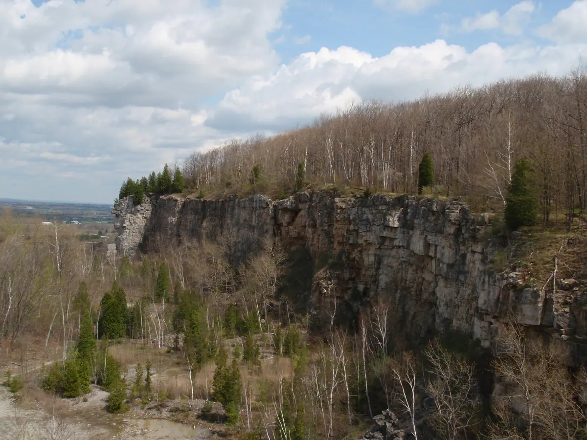 Escarpment cliffs at Kelso Conservation Area in Milton